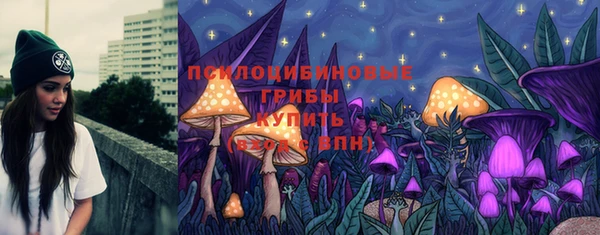 гашик Алзамай