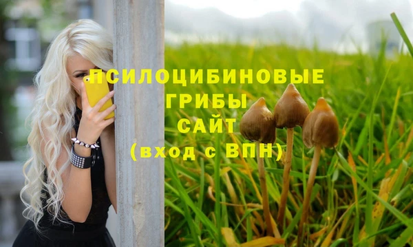 прущая мука Алексин