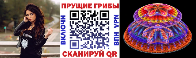 продажа наркотиков  Бирюч  Псилоцибиновые грибы прущие грибы 